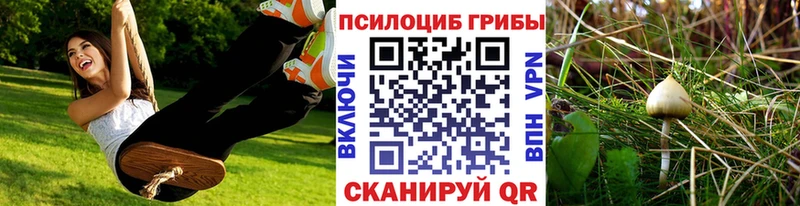 Галлюциногенные грибы Magic Shrooms  Одинцово 